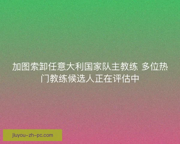 加图索卸任意大利国家队主教练 多位热门教练候选人正在评估中