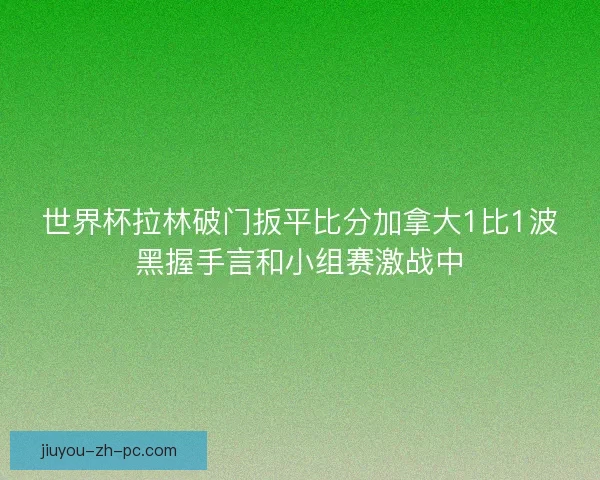世界杯拉林破门扳平比分加拿大1比1波黑握手言和小组赛激战中